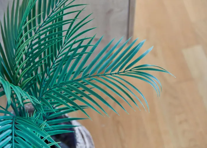 Daheim & Unterwegs Daire Bernkastel-Kues